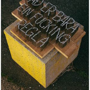 Upplagsverk - áritað og númerað